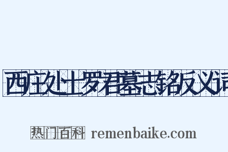 西庄处士罗君墓志铭反义词是什么意思的图片